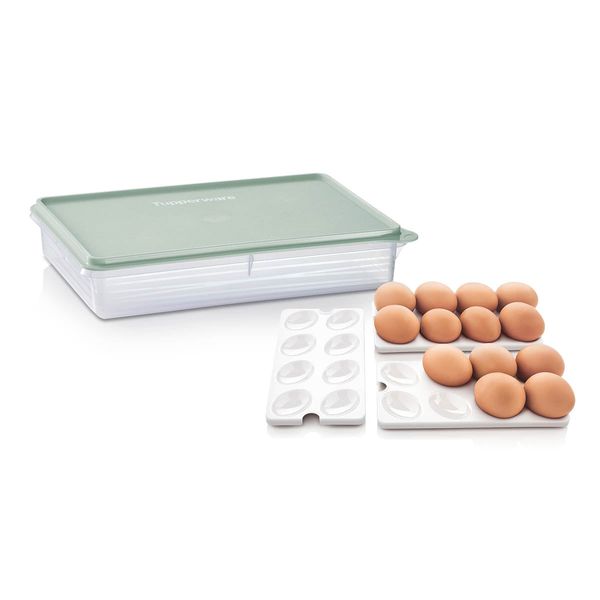 Tupperware® Snack-Stor® Large Storage Container with 3 Egg Tray Insert - Image 2
