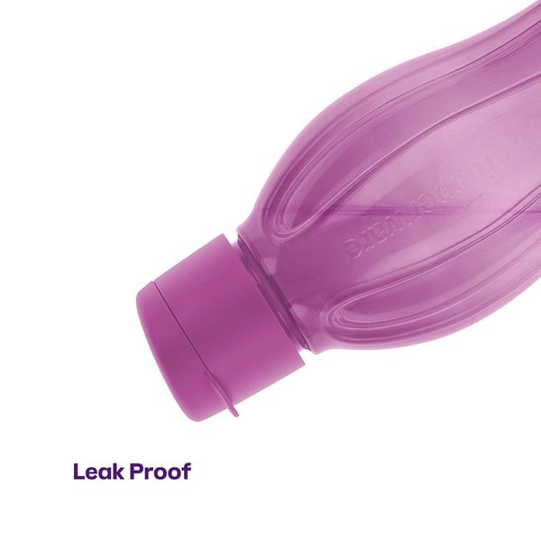 Eco+ Bottle | Large - Image 3