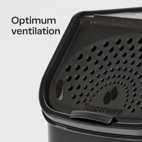 Smart® Container Set - Image 4