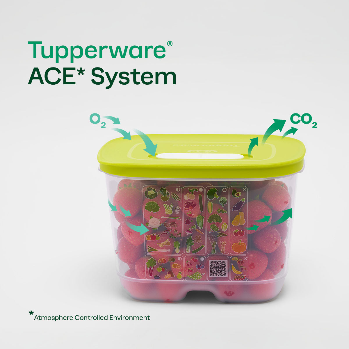 FridgeSmart® Containers - Image 7