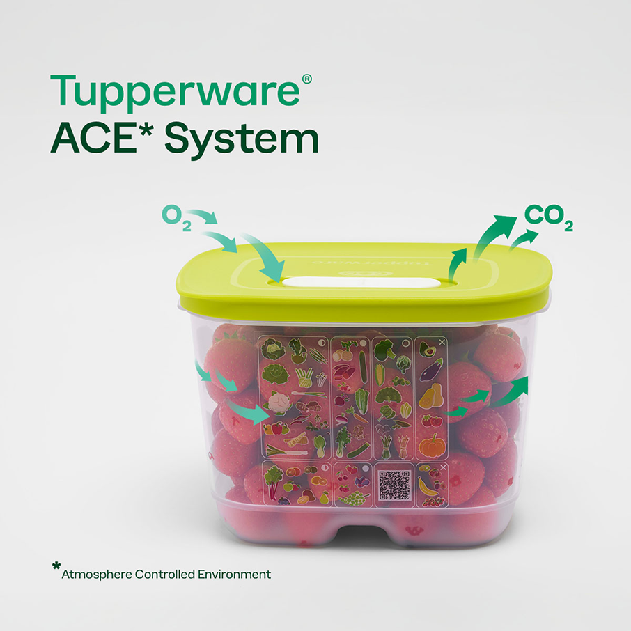 FridgeSmart ® Medium Container - Image 2